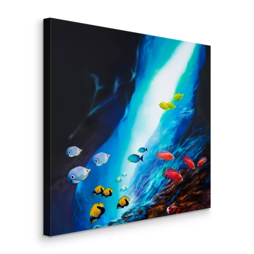 Bild Bunte Fische im tiefen Wasser