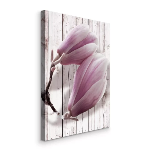 Bild Magnolienknospen vor dem Hintergrund von Leuchttafeln