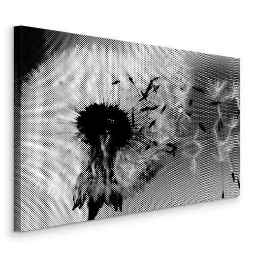 Bild Schwarzer und weißer Löwenzahn im Wind