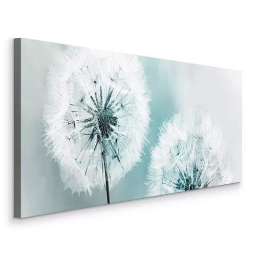 Bild Zwei Löwenzahnblüten vor einem kühlen blauen Hintergrund