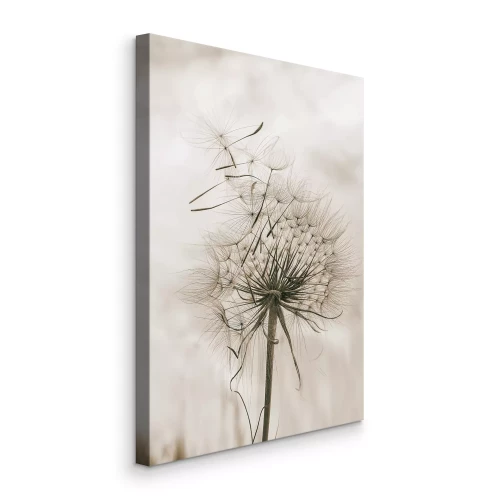 Bild Eine Pusteblume mit fliegenden Samen vor einem bewölkten Himmel