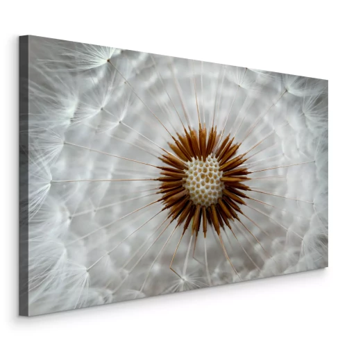 Bild Eine Nahaufnahme des Zentrums des Löwenzahns