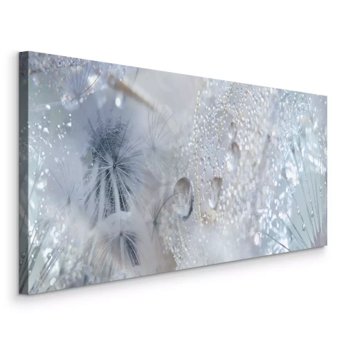 Bild Löwenzahn in einer leuchtenden Komposition mit Tau