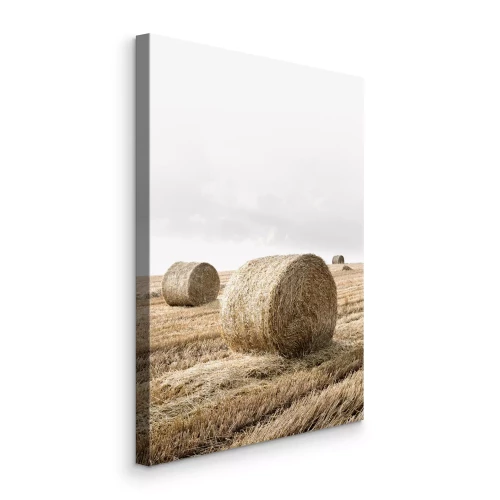 Bild Heuballen auf trockenem Stoppel