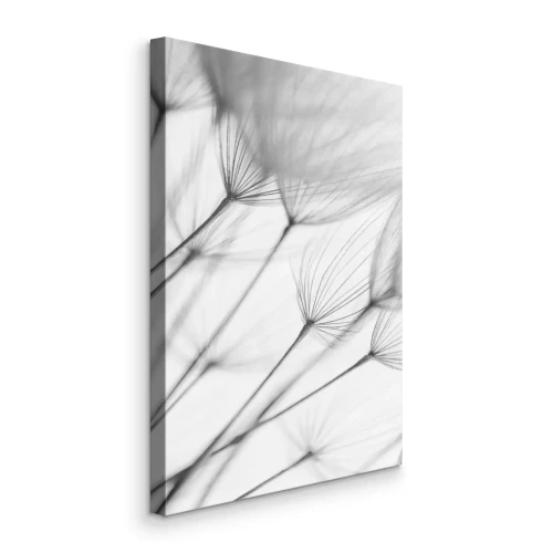 Bild Minimalistische Löwenzahnblüten in Grautönen