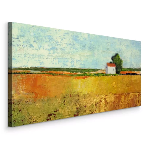 Bild Ein weißes Haus neben einem Feld mit reifendem Getreide