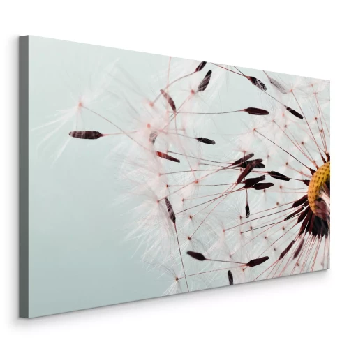 Bild Helle Löwenzahnsamen auf blauem Hintergrund