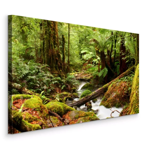 Bild Wasserfall und Bach in einem grünen Wald