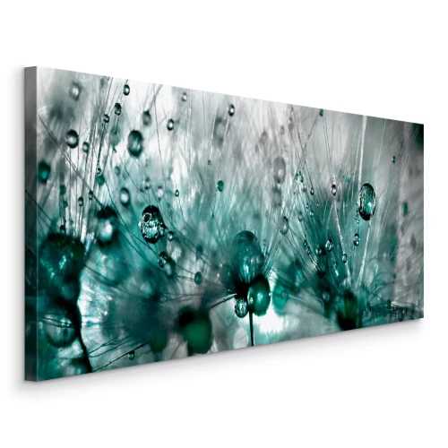 Bild Makroaufnahme eines Löwenzahns mit Wassertropfen im Grün