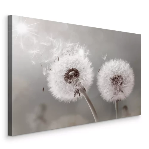 Bild Leuchtende Löwenzahnblüten, deren Samen davonfliegen