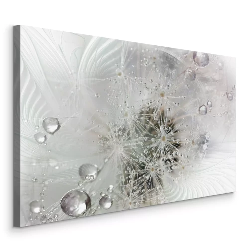 Bild Löwenzahn in Wassertropfen auf grauem Hintergrund