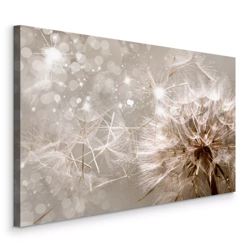 Bild Löwenzahnsamen fliegen im Schein und Licht davon.