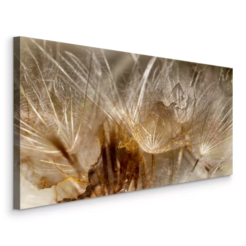 Bild Löwenzahn in braunem und goldenem Licht