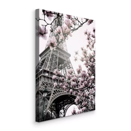 Bild Blühende Magnolien vor dem Hintergrund des Eiffelturms