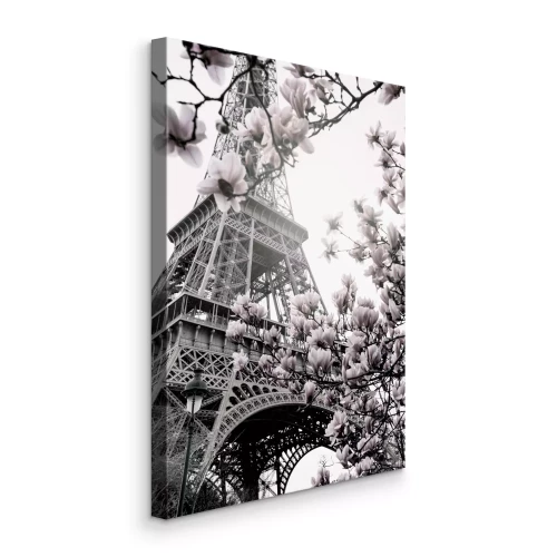 Bild Magnolienzweige vor dem Eiffelturm