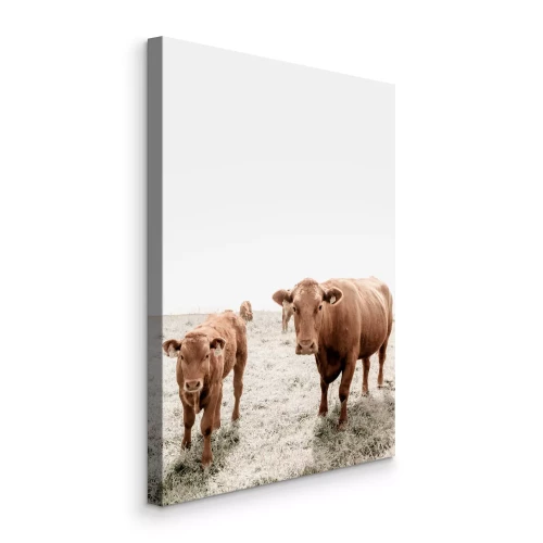 Bild Braune Kühe stehen auf einem grasbewachsenen Feld