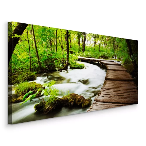 Bild Natürliche Waldlandschaft mit einem Fluss