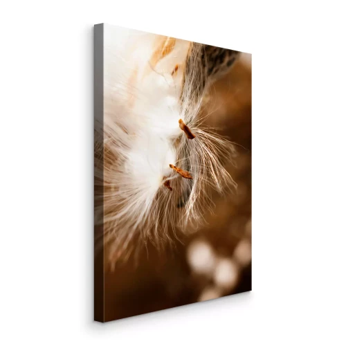 Bild Zarte Löwenzahnsamen auf braunem Hintergrund