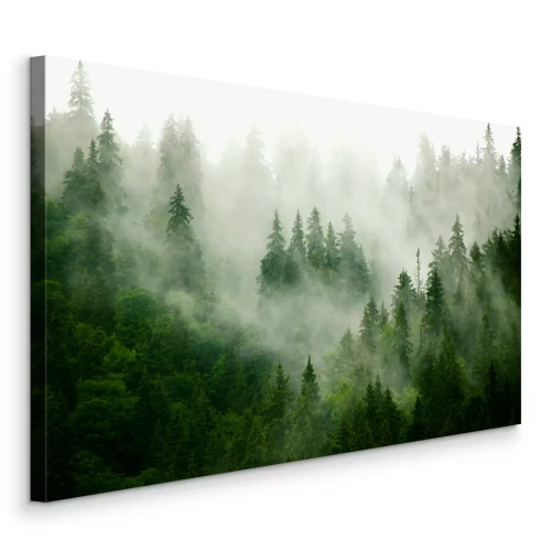 Bild Bäume im Nebel – Naturlandschaft