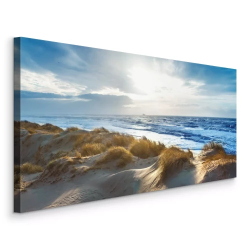 Bild Dünenküste mit hohem Gras