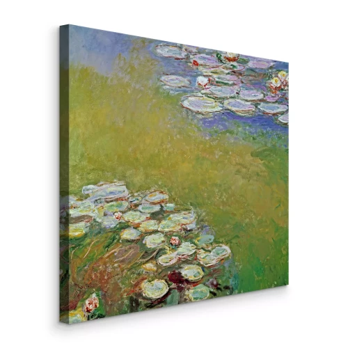 Bild Ein malerischer Teich mit blühenden Seerosen