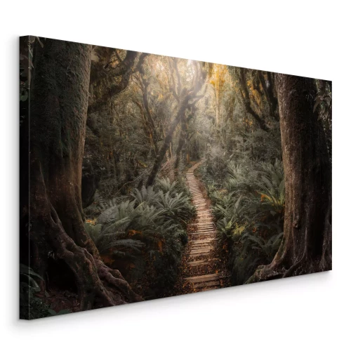 Bild Ein Pfad aus Holzplanken in einem dichten Wald