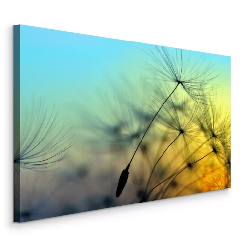 Bild Nahaufnahme eines Löwenzahns bei Sonnenuntergang