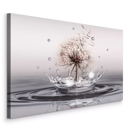 Bild Löwenzahn über einem Wasserstrahl im Licht