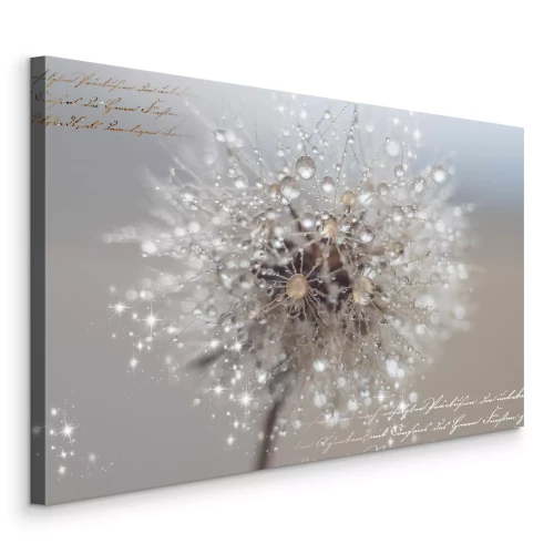 Bild Makrofotografie eines Löwenzahns mit Tau und Text