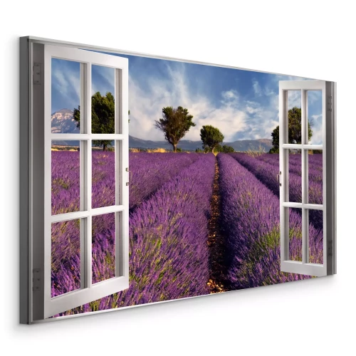 Bild Blick aus dem Fenster auf lila Lavendel