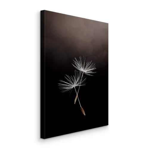 Bild Fliegende Löwenzahnsamen auf dunklem Hintergrund