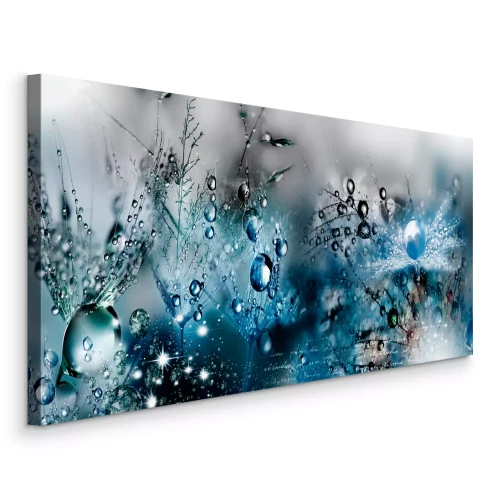 Bild Blaue Tropfen auf zarten Löwenzahnblüten