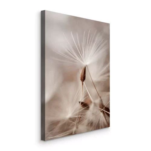 Bild Zarte Löwenzahnsamen auf beigem Hintergrund