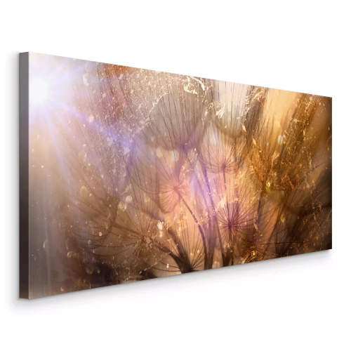 Bild Goldene Löwenzahnblüten im Licht