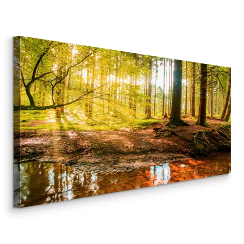 Bild Ein Fluss in einem sonnigen Herbstwald