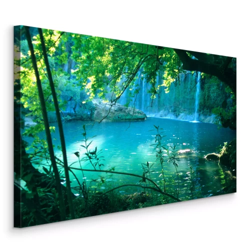 Bild Ein türkisfarbener Paradieswasserfall in ruhiger Lage