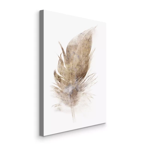 Bild Eine kleine braune Feder