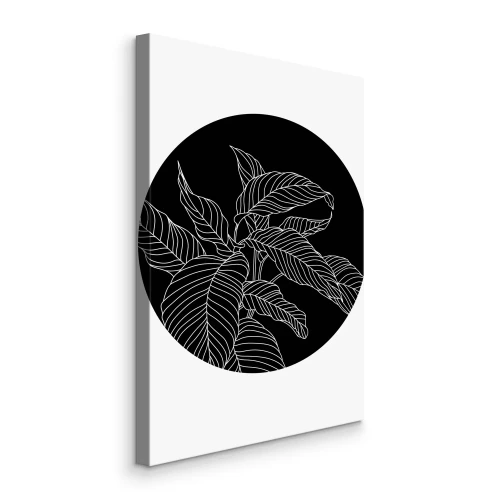 Bild Weiße Blätter auf schwarzem Grund in einem Kreis