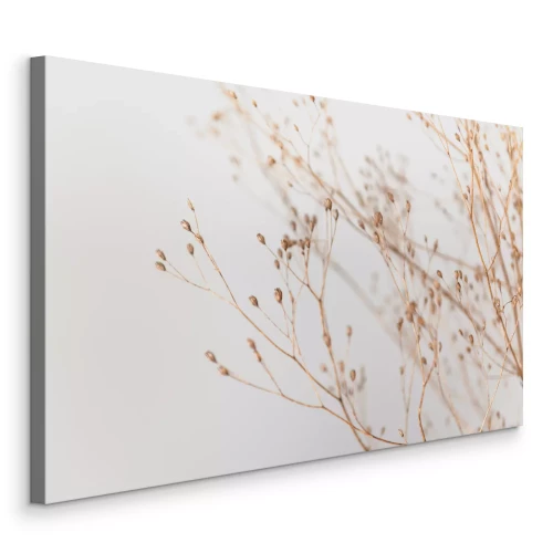 Bild Zarte, getrocknete Triebe mit winzigen Samen