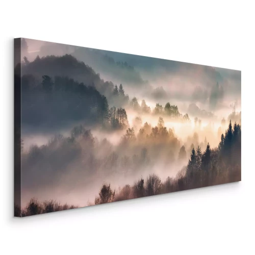 Bild Bewaldete Hügel im Morgennebel