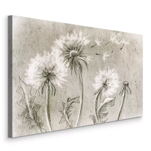 Bild Zeichnung von Löwenzahnblüten, deren Samen in Grautönen wegfliegen.