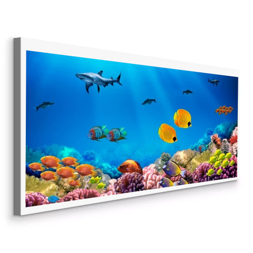 Bild Bunte Fische im Ozean mit einem Riff