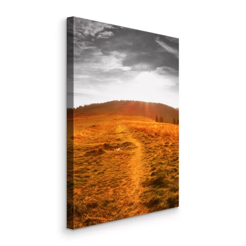 Bild Eine Lichtung im Sonnenuntergang, durch die ein Pfad führt.