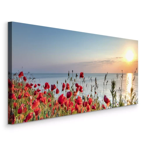 Bild Mohnblumen auf einer Klippe mit Blick auf das Meer