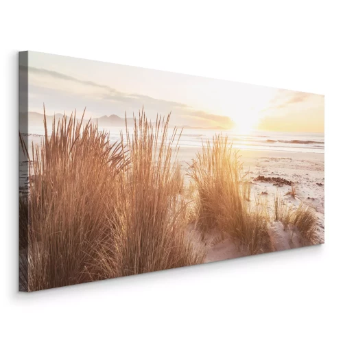 Bild Sanddünen mit Gräsern im sanften Licht