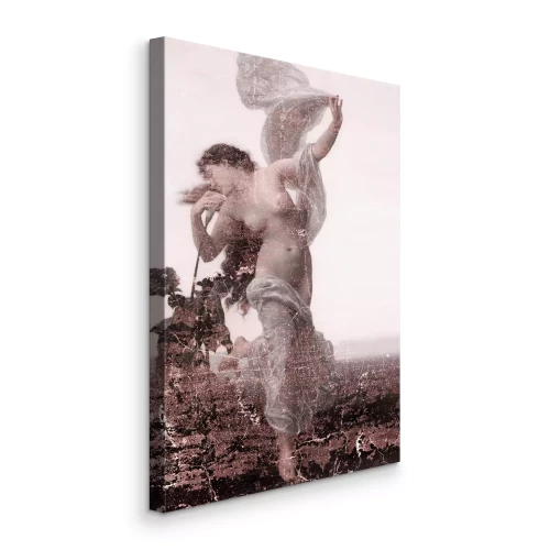 Bild Weiblicher Akt in weichem Retro-Stoff