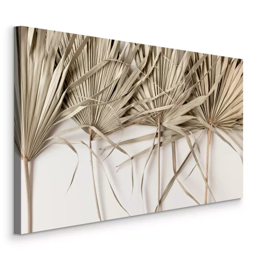 Bild Beige, trockene Palmblätter auf weißem Hintergrund