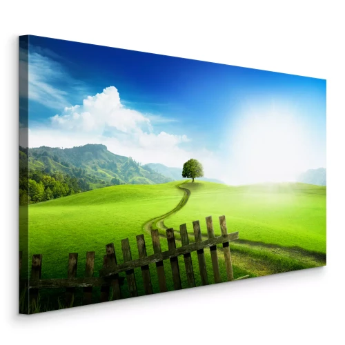 Bild Ein Feldweg, der zu einem grünen Hügel führt