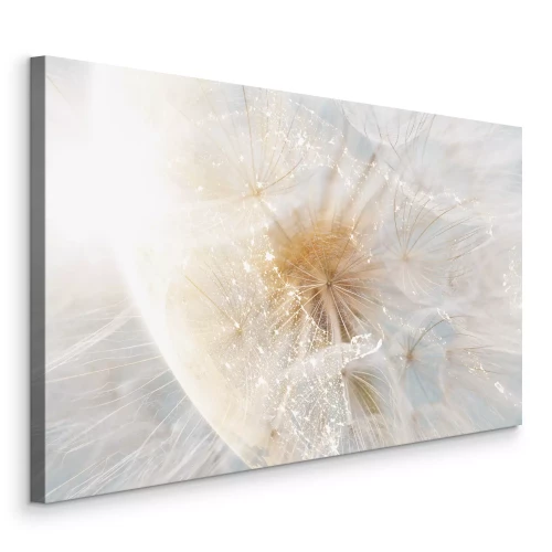 Bild Löwenzahn in einer leuchtenden Komposition