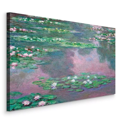 Bild Seerosen auf der ruhigen Oberfläche eines Teichs